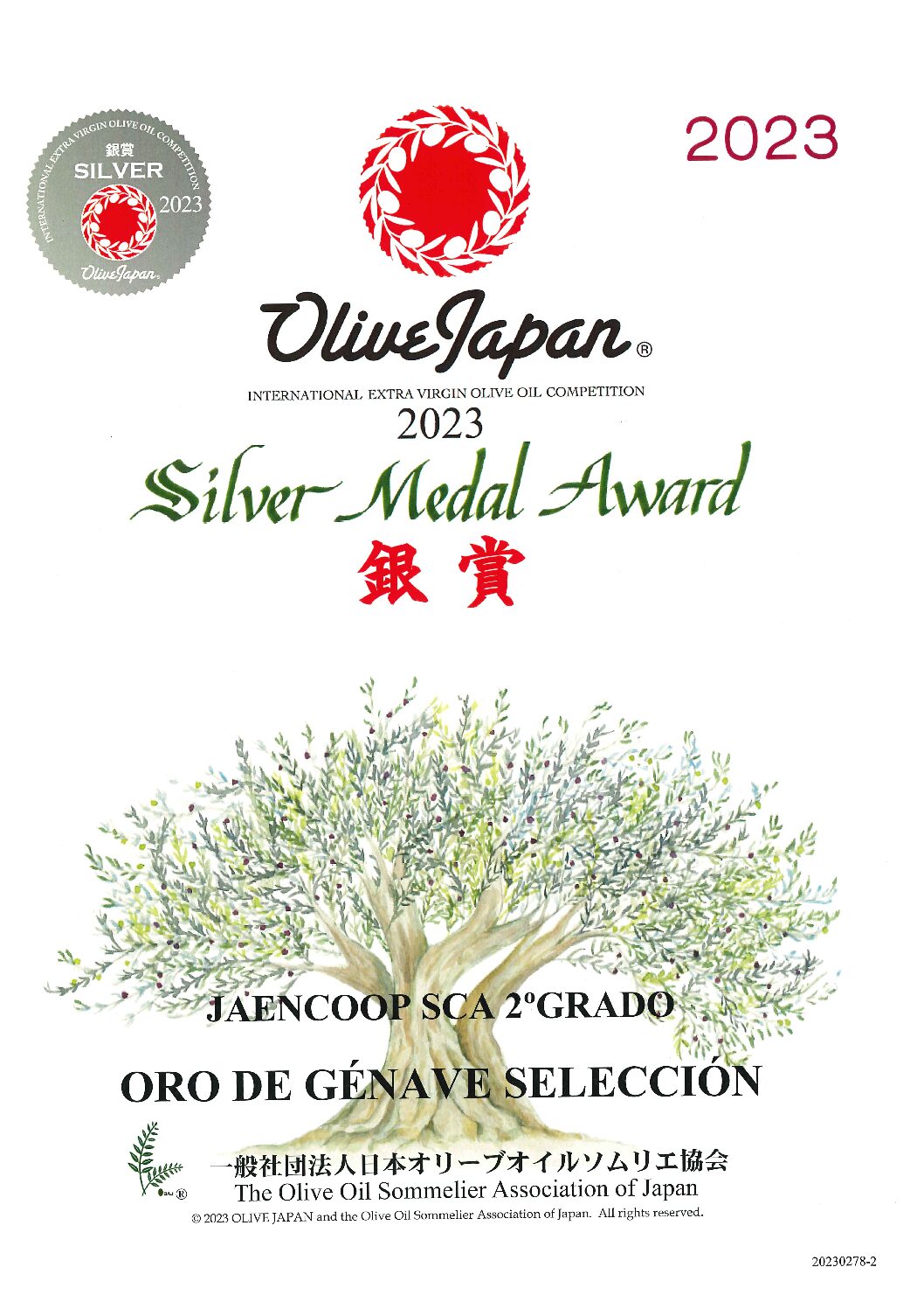 202302782 S OLIVE JAPAN 2023
